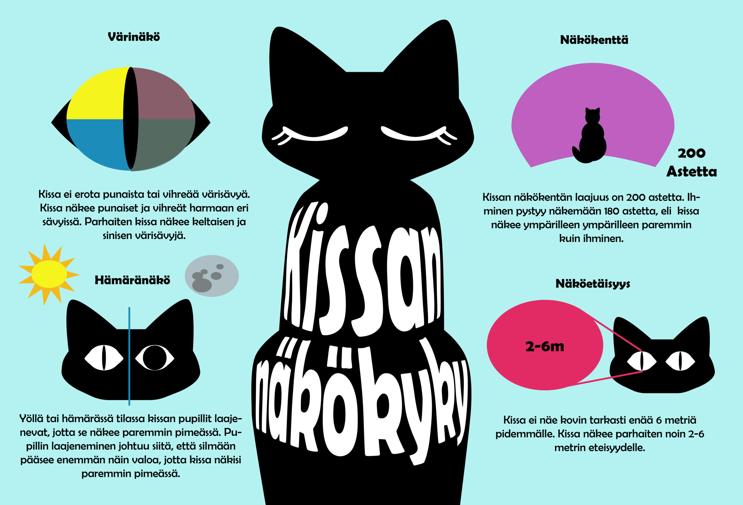 Juliste mock-up julkaisuun koululaisten lehteen kissan näkökyvystä, informaatiografiikka, 2023